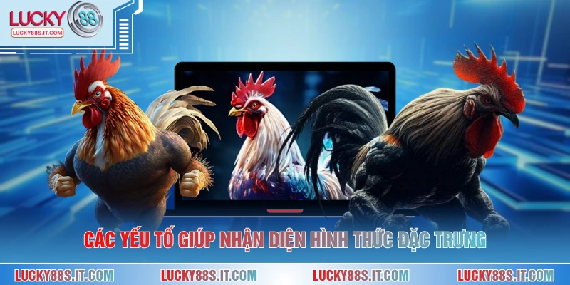 Đá Gà Cựa Dao - Hình Thức Giải Trí Kịch Tính Hấp Dẫn 3 Các yếu tố giúp nhận diện hình thức đặc trưng
