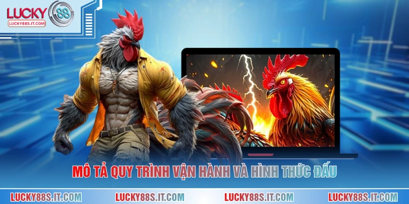 Đá Gà Cựa Đòn - Hình Thức Cá Cược Kịch Tính Tại LUCKY88 2 Mô tả quy trình vận hành và hình thức đấu