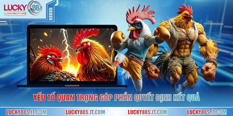 Đá Gà Cựa Đòn - Hình Thức Cá Cược Kịch Tính Tại LUCKY88 3 Yếu tố quan trọng góp phần quyết định kết quả